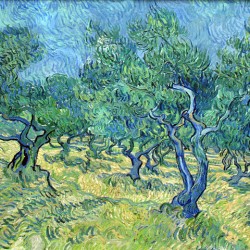 Vincent van Gogh, "Olivengarten", 1889
