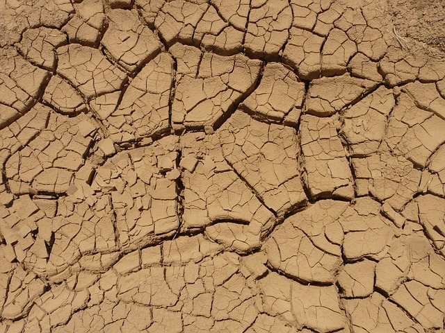 Dürre in Kalifornien (Bild: LoggaWiggler, Pixabay)